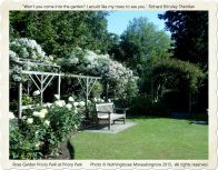 Rose Garden, Priory Park - Nothingtosee Movealongnow