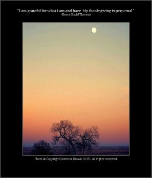 Sunset, Moon Rise - Contessa Brown